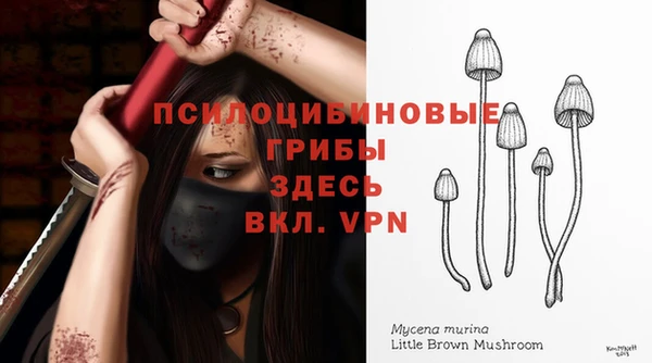 ПСИЛОЦИБИНОВЫЕ ГРИБЫ Алексин