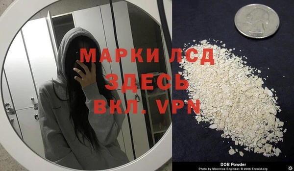 ПСИЛОЦИБИНОВЫЕ ГРИБЫ Алексин