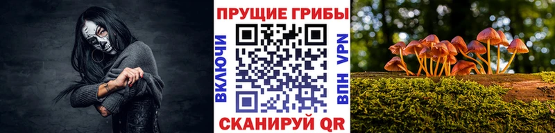 Псилоцибиновые грибы Cubensis  Нытва 