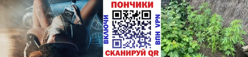 Конопля гибрид  закладка  Нытва 